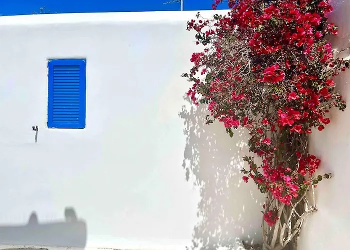 Relax Sunlight