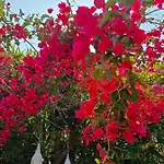 Апартаменты Relax Sunlight *